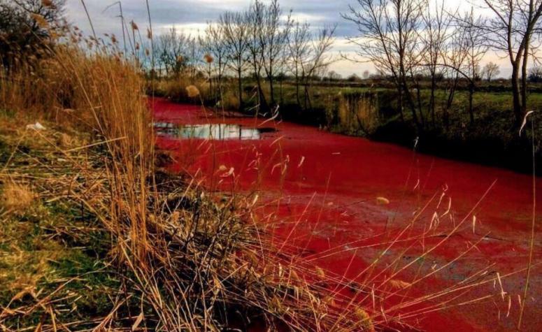 Багровая вода станицы Елизаветинская